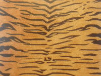 Woolen-Carpet-Tiger-Design RTBM65